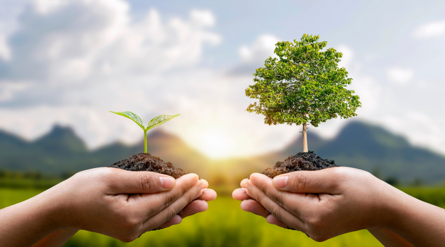 Sustainability Banner