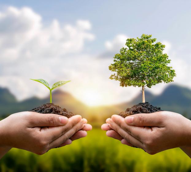 Sustainability Banner