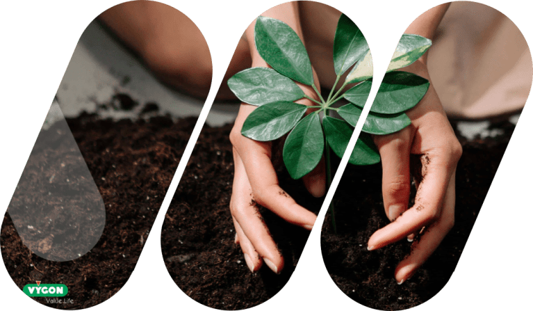 Banner Sustainability